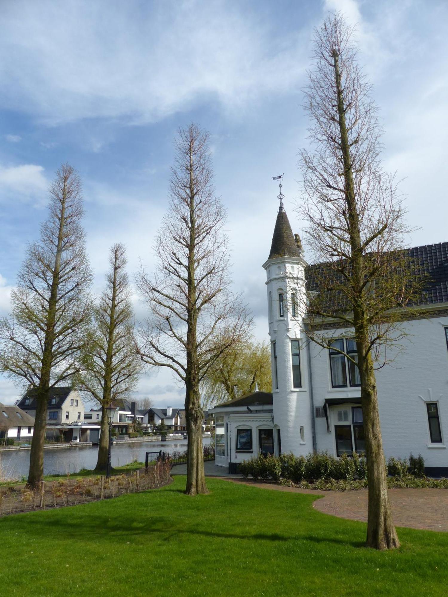 Herberg Welgelegen Katwijk aan Zee Exterior photo